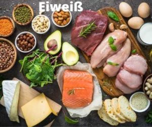 Eiweiß-Stoffwechsel