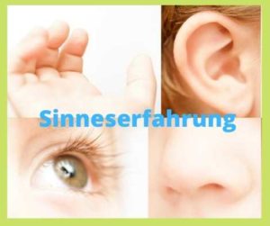 Die 5 Sinne